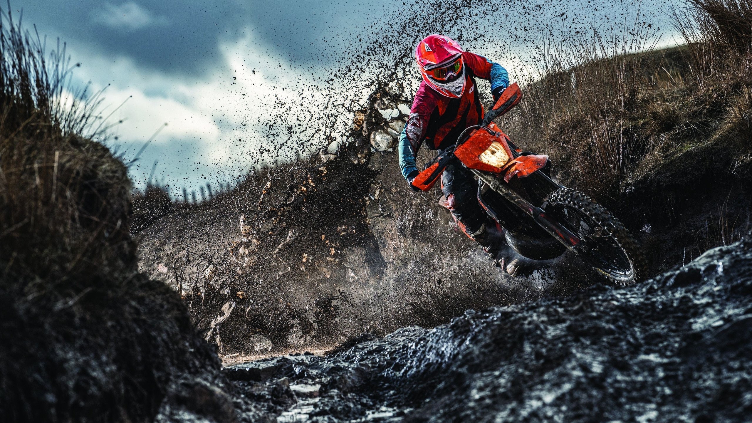 当太阳横扫公牛，字母哥在欧冠半决赛的接管启示录